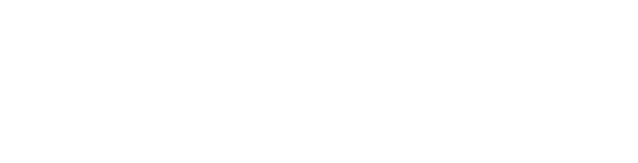 Push Gaming NZ logo