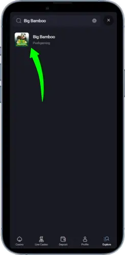 Search for Big Bamboo slot in NZ casino app