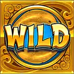 Wild symbol